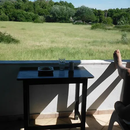 Tom's House Skriperon